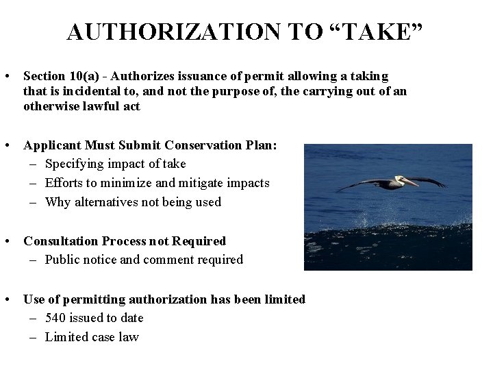 AUTHORIZATION TO “TAKE” • Section 10(a) - Authorizes issuance of permit allowing a taking