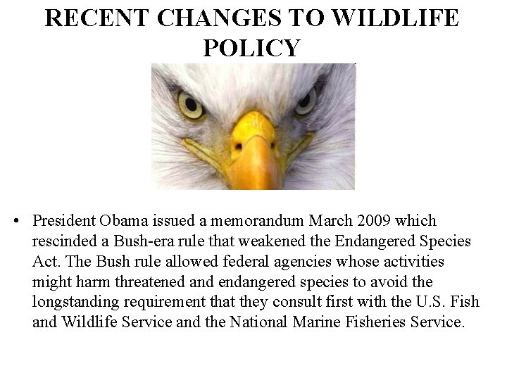 RECENT CHANGES TO WILDLIFE POLICY • President Obama issued a memorandum March 2009 which