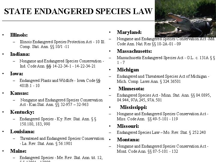 STATE ENDANGERED SPECIES LAW _____________________________________ • Illinois: – • Indiana: – • Endangered Species