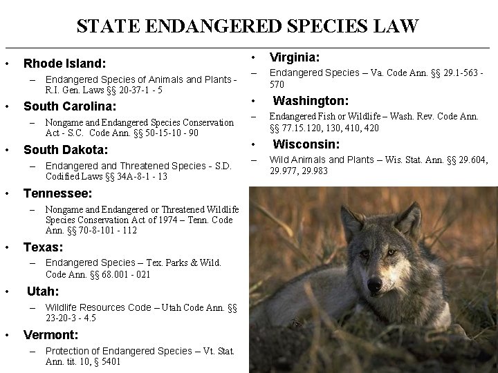 STATE ENDANGERED SPECIES LAW __________________________________________________ • Rhode Island: – Endangered Species of Animals and