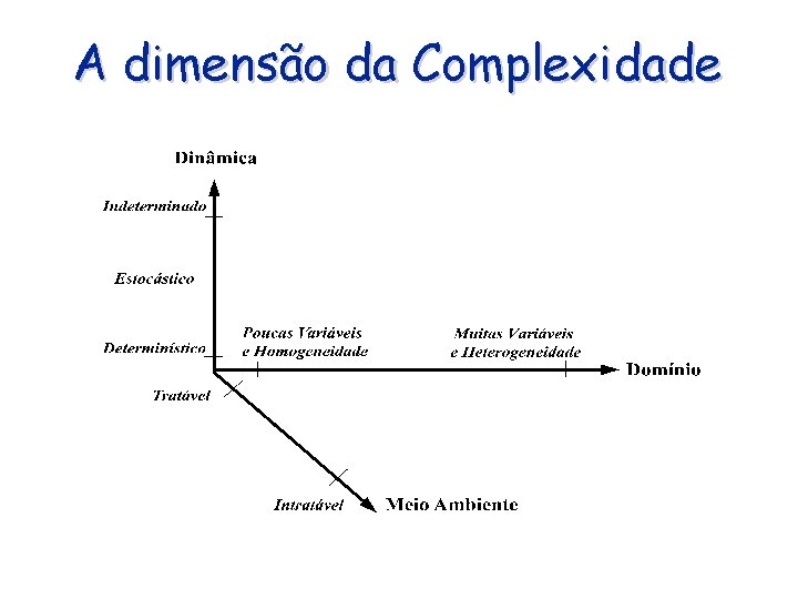 A dimensão da Complexidade 