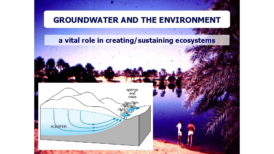 GROUNDWATERAND ANDTHE ENVIRONMENT GROUNDWATER a vital role in creating/sustaining ecosystems 