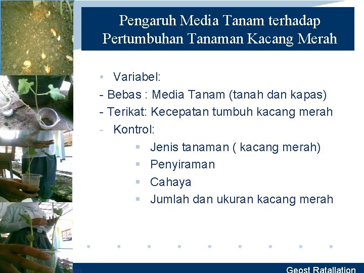 Pengaruh Media Tanam terhadap Pertumbuhan Tanaman Kacang Merah • Variabel: - Bebas : Media