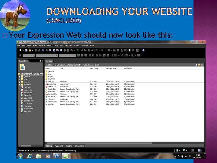 � Your Expression Web should now look like this: 