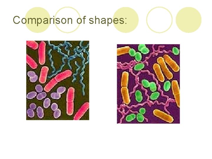 Comparison of shapes: 