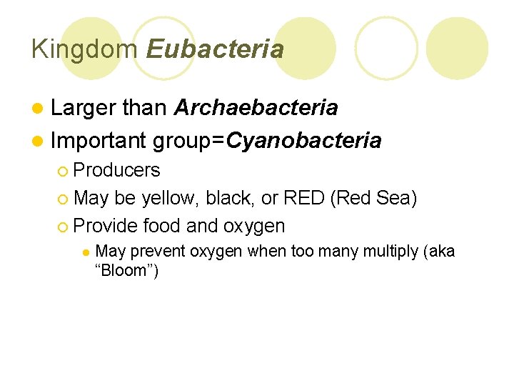 Kingdom Eubacteria l Larger than Archaebacteria l Important group=Cyanobacteria ¡ Producers ¡ May be