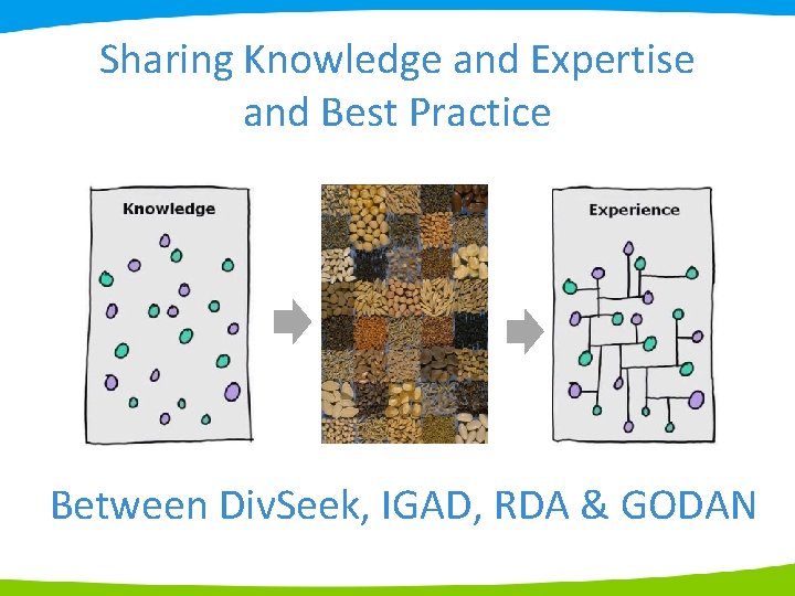 Sharing Knowledge and Expertise and Best Practice Between Div. Seek, IGAD, RDA & GODAN