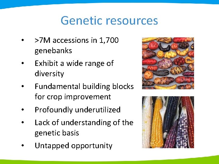 Genetic resources • >7 M accessions in 1, 700 genebanks • Exhibit a wide