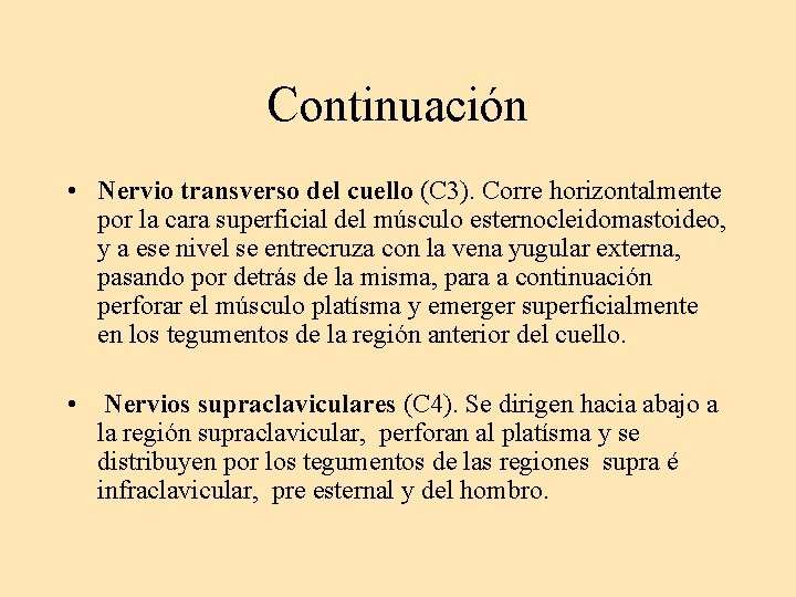 Continuación • Nervio transverso del cuello (C 3). Corre horizontalmente por la cara superficial