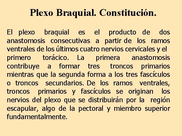 Plexo Braquial. Constitución. El plexo braquial es el producto de dos anastomosis consecutivas a