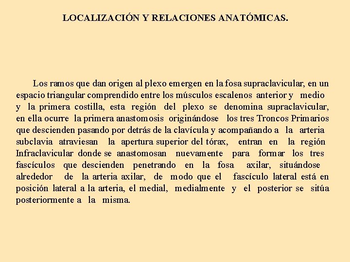 LOCALIZACIÓN Y RELACIONES ANATÓMICAS. Los ramos que dan origen al plexo emergen en la