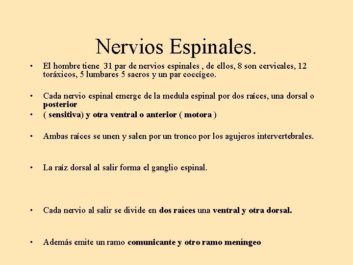 Nervios Espinales. • El hombre tiene 31 par de nervios espinales , de ellos,