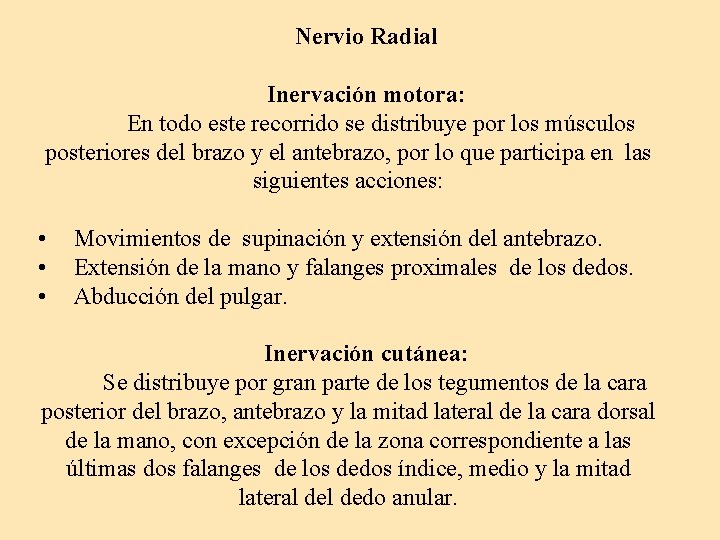 Nervio Radial Inervación motora: En todo este recorrido se distribuye por los músculos posteriores