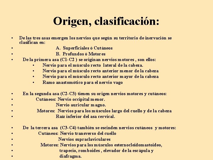 Origen, clasificación: • • De las tres asas emergen los nervios que según su
