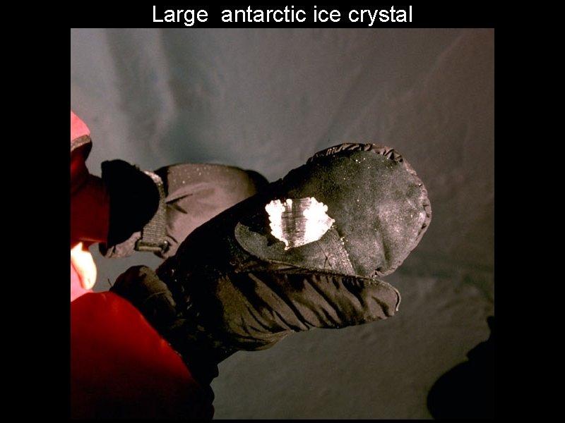Large antarctic ice crystal 