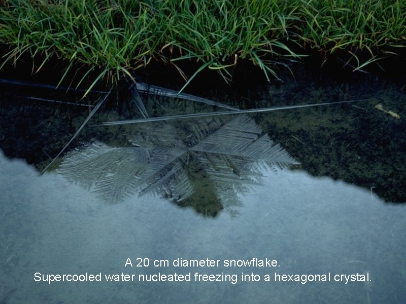 A 20 cm diameter snowflake. Supercooled water nucleated freezing into a hexagonal crystal. 