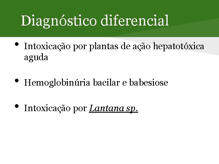 Diagnóstico diferencial • Intoxicação por plantas de ação hepatotóxica aguda • Hemoglobinúria bacilar e