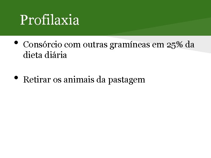 Profilaxia • • Consórcio com outras gramíneas em 25% da dieta diária Retirar os