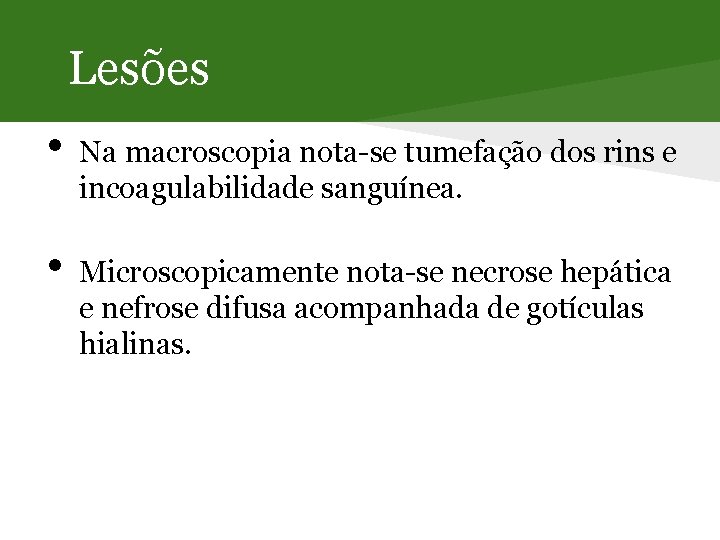 Lesões • • Na macroscopia nota-se tumefação dos rins e incoagulabilidade sanguínea. Microscopicamente nota-se