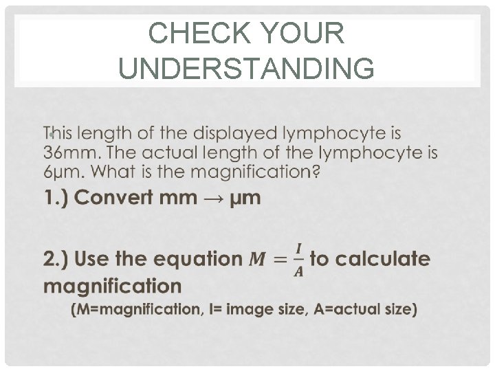 CHECK YOUR UNDERSTANDING • 