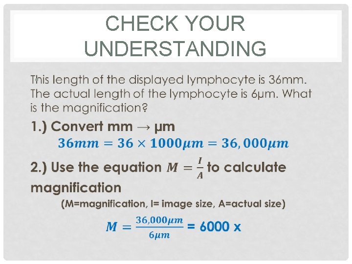 CHECK YOUR UNDERSTANDING • 