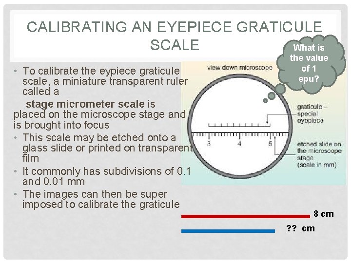 CALIBRATING AN EYEPIECE GRATICULE SCALE What is • To calibrate the eypiece graticule scale,