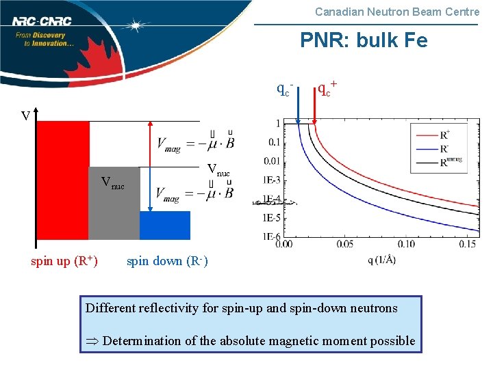 Canadian Neutron Beam Centre PNR: bulk Fe qc- qc+ V Vnuc spin up (R+)