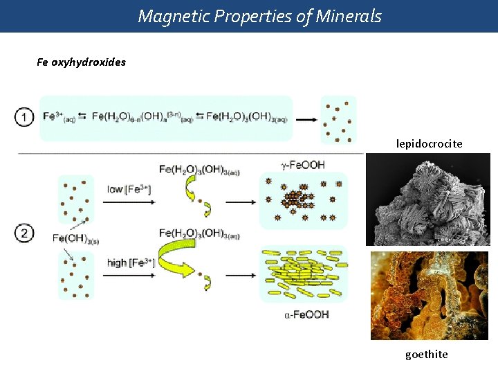 Magnetic Properties of Minerals Fe oxyhydroxides lepidocrocite goethite 