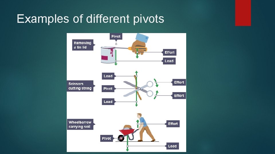 Examples of different pivots 