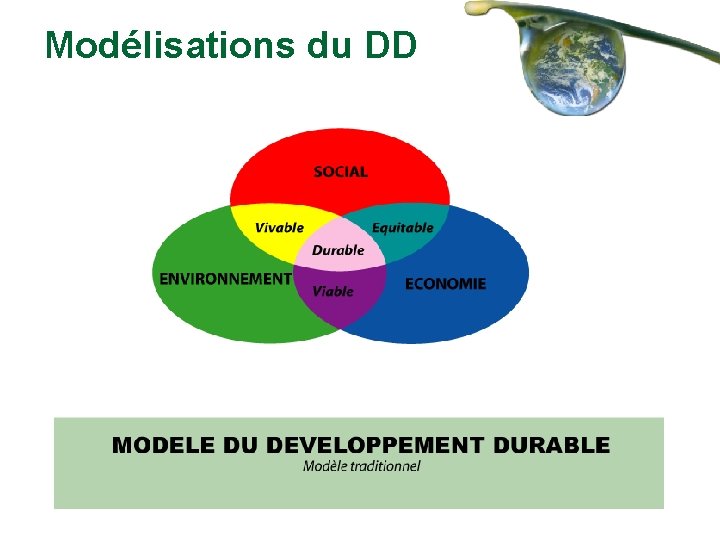 Modélisations du DD 