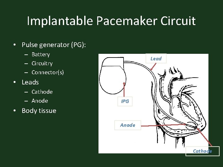 Implantable Pacemaker Circuit • Pulse generator (PG): – Battery – Circuitry – Connector(s) Lead