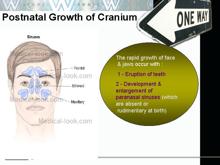 Postnatal Growth of Cranium • At birth, calvaria is larger than the face •