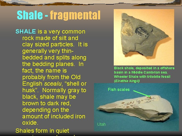 Shale - fragmental SHALE is a very common rock made of silt and clay