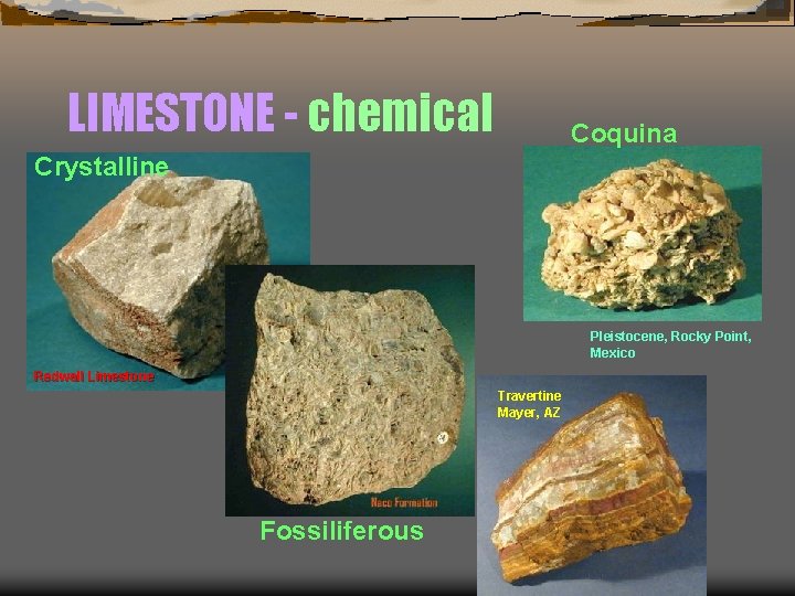LIMESTONE - chemical Coquina Crystalline Pleistocene, Rocky Point, Mexico Redwall Limestone Travertine Mayer, AZ