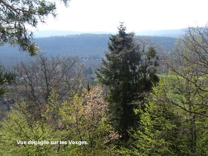 Vue dégagée sur les Vosges. 