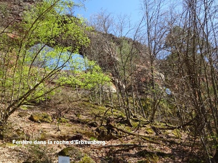 Fenêtre dans la roche d’Erbsenberg. 