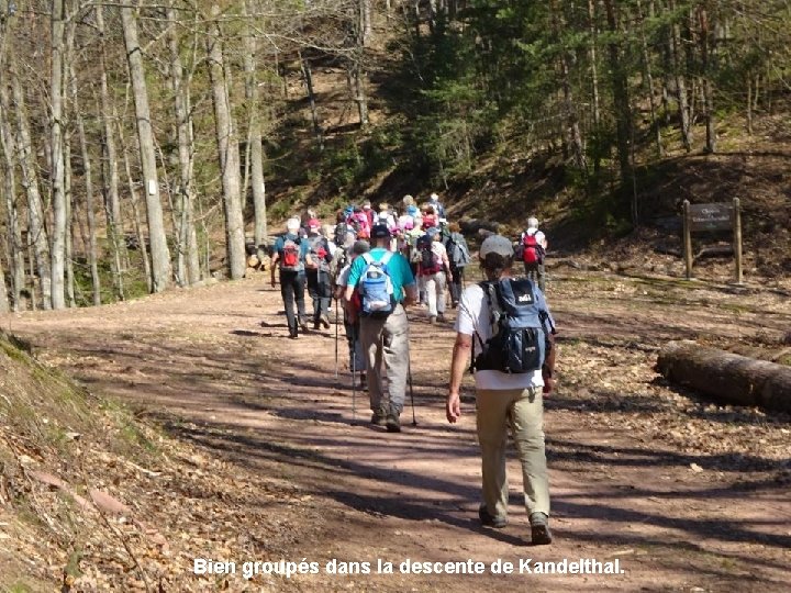 Bien groupés dans la descente de Kandelthal. 