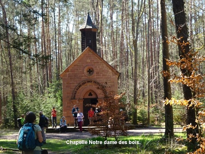 Chapelle Notre dame des bois. 