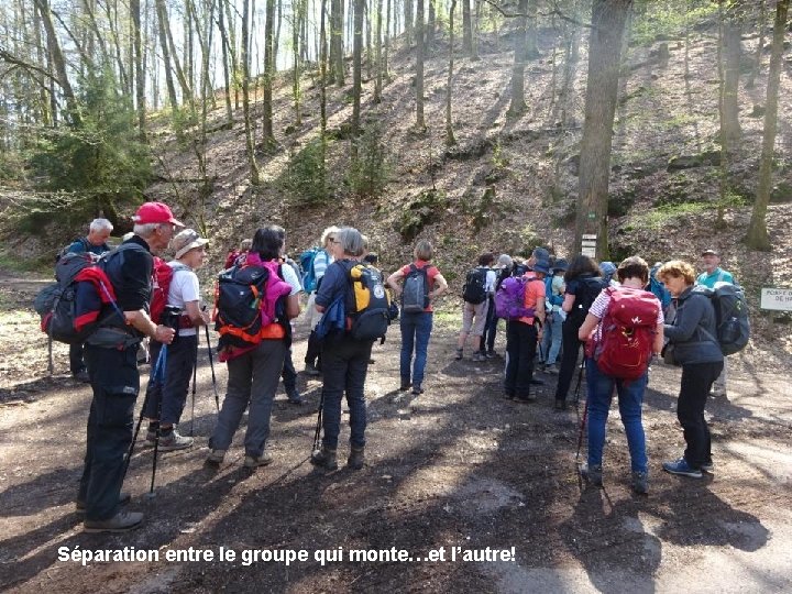 Séparation entre le groupe qui monte…et l’autre! 