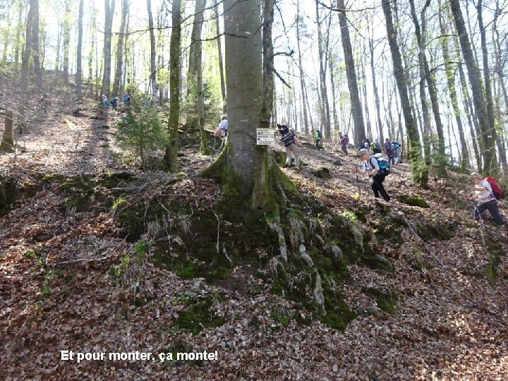 Et pour monter, ça monte! 