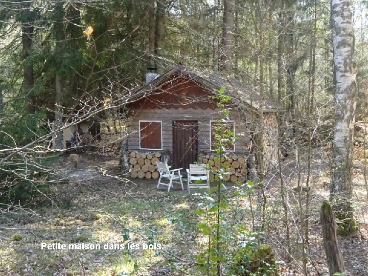 Petite maison dans les bois. 