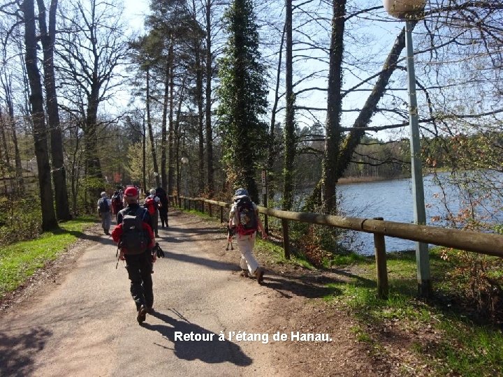 Retour à l’étang de Hanau. 