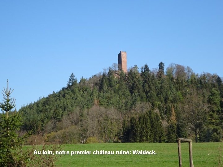 Au loin, notre premier château ruiné: Waldeck. 