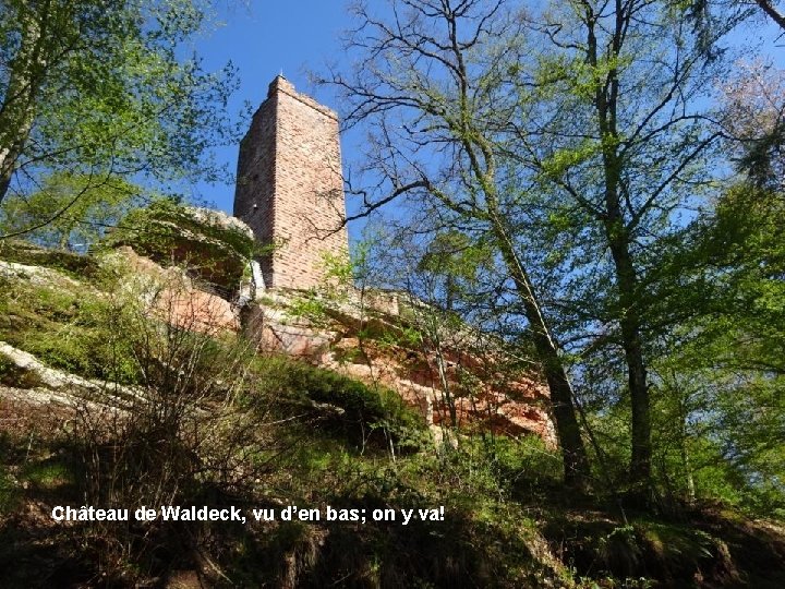 Château de Waldeck, vu d’en bas; on y va! 