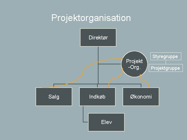 Projektorganisation Direktør Projekt -Org. Salg Indkøb Elev Styregruppe Projektgruppe Økonomi 