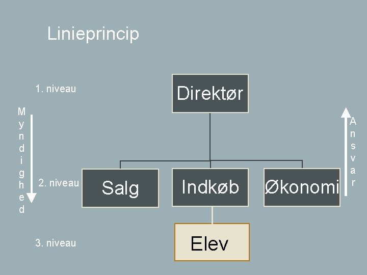 Linieprincip Direktør 1. niveau M y n d i g h e d 2.