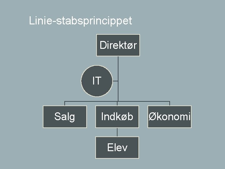 Linie-stabsprincippet Direktør IT Salg Indkøb Elev Økonomi 