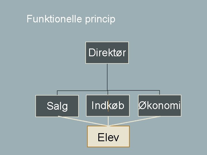 Funktionelle princip Direktør Salg Indkøb Elev Økonomi 