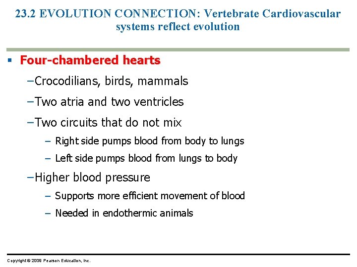 23. 2 EVOLUTION CONNECTION: Vertebrate Cardiovascular systems reflect evolution § Four-chambered hearts – Crocodilians,