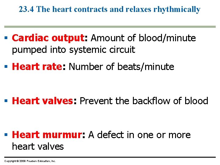 23. 4 The heart contracts and relaxes rhythmically § Cardiac output: Amount of blood/minute
